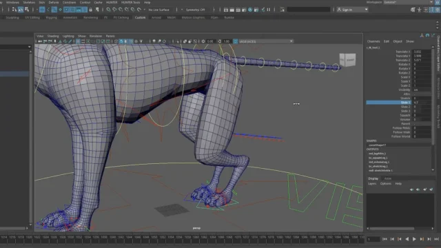 Rig du Loup