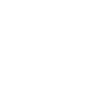 Logo Icona Film festival • 2025