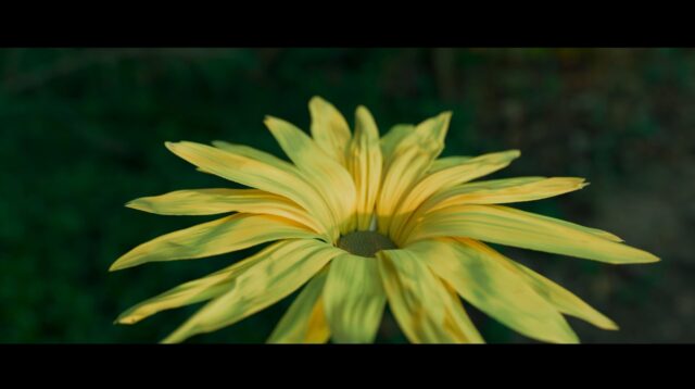 fx flower