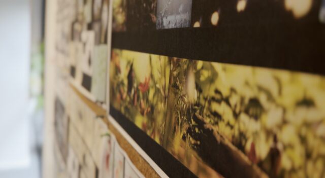 image storyboard