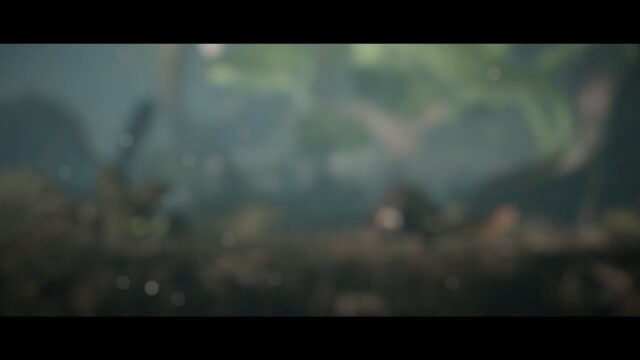 environnement 01